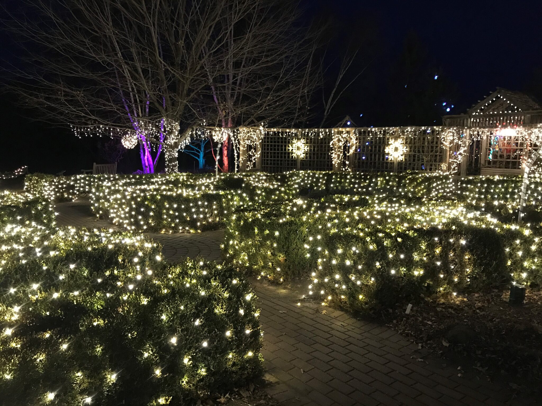 Garden Glow at McCrory Gardens in Brookings, SD Ellie Highstreet